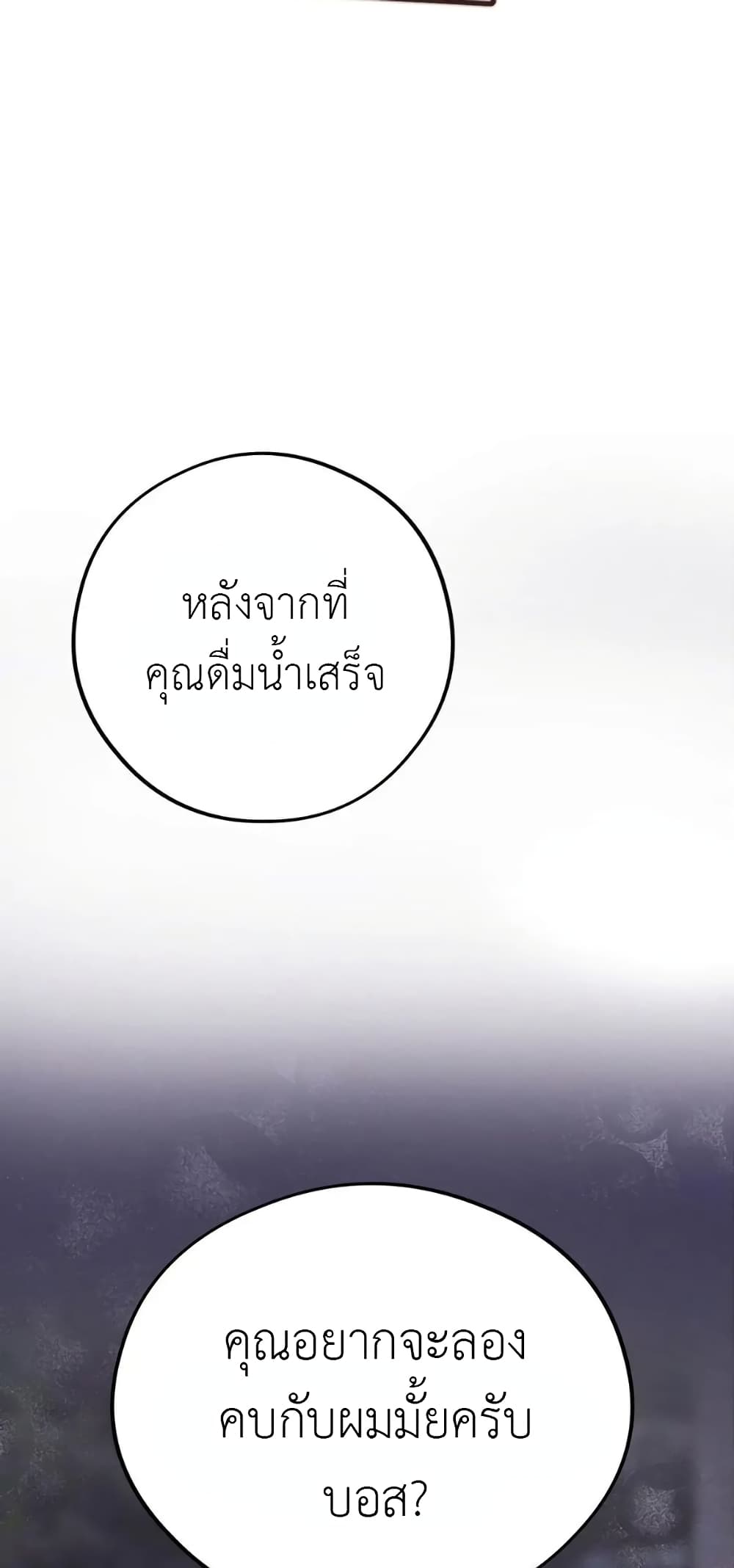 Honey Bear 40 03