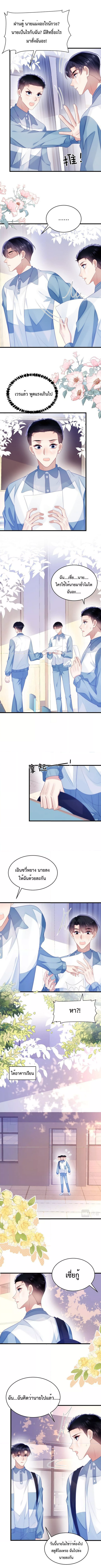 DESTINY LOVE 44 (5)