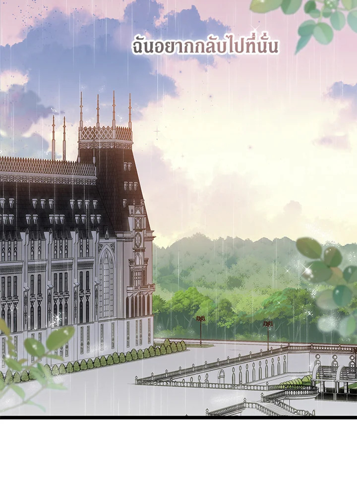 The Symbiotic Relationship Between a Panther and a Rabbit 122 061