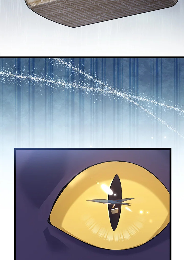 The Symbiotic Relationship Between a Panther and a Rabbit 121 67