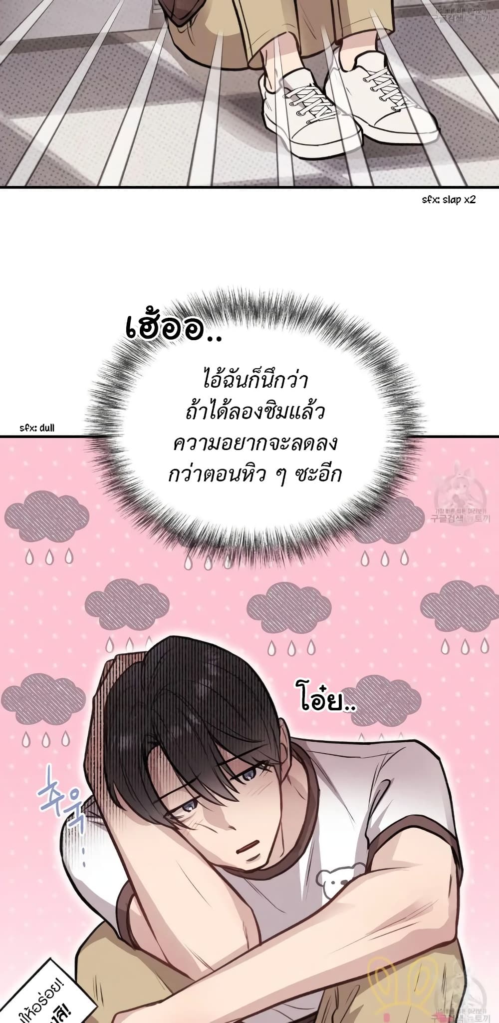 Honey Bear 13 17