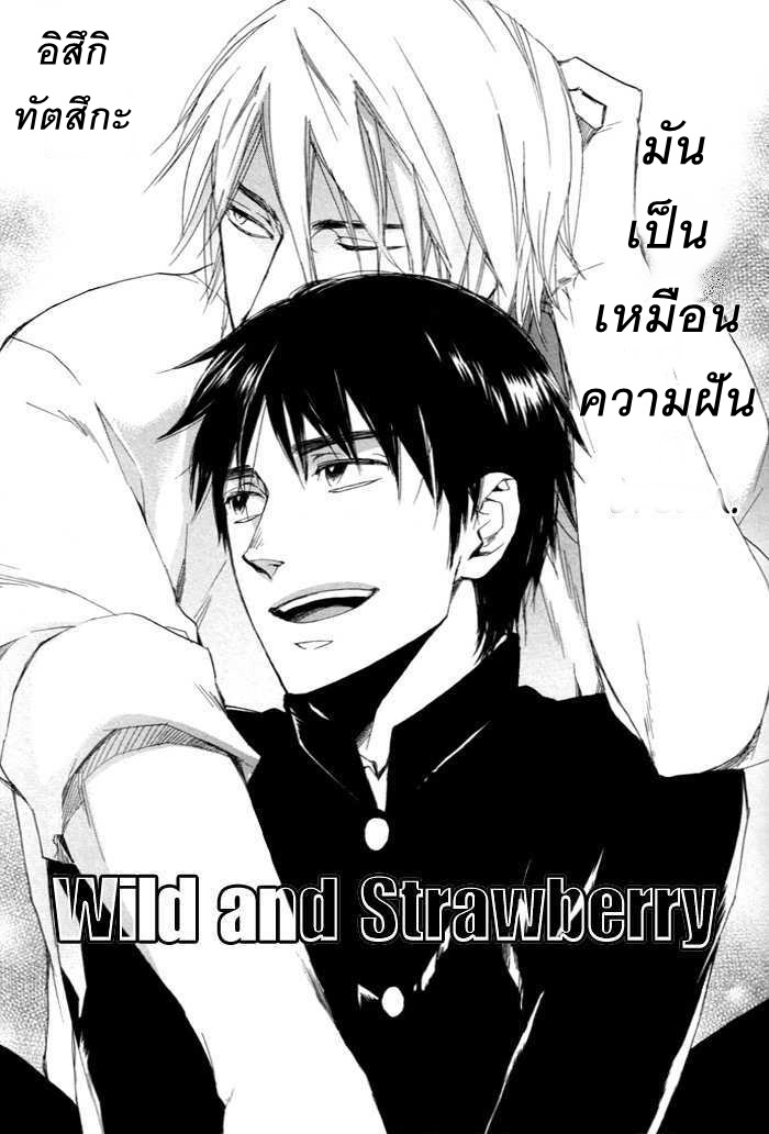 WILD AND STRAWBERRY 1 01
