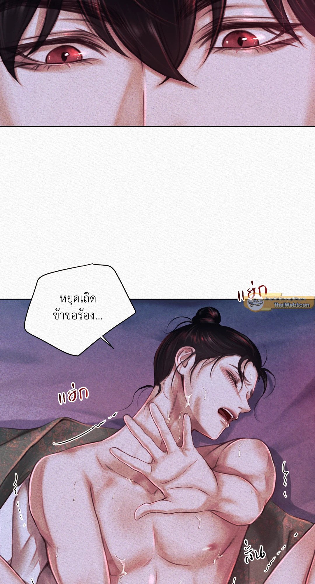 Night Song 6 17