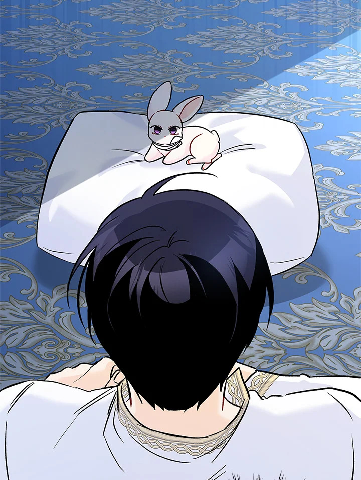 The Symbiotic Relationship Between a Panther and a Rabbit 119 66