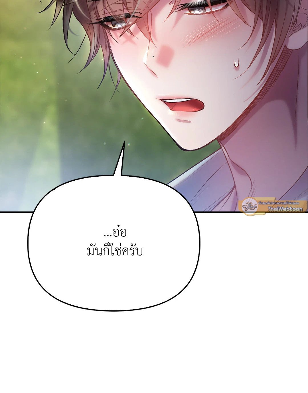Sugar Rain 38 33