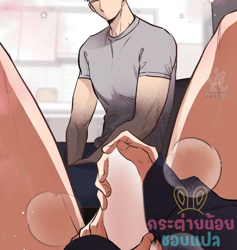 Honey Bear 15 044