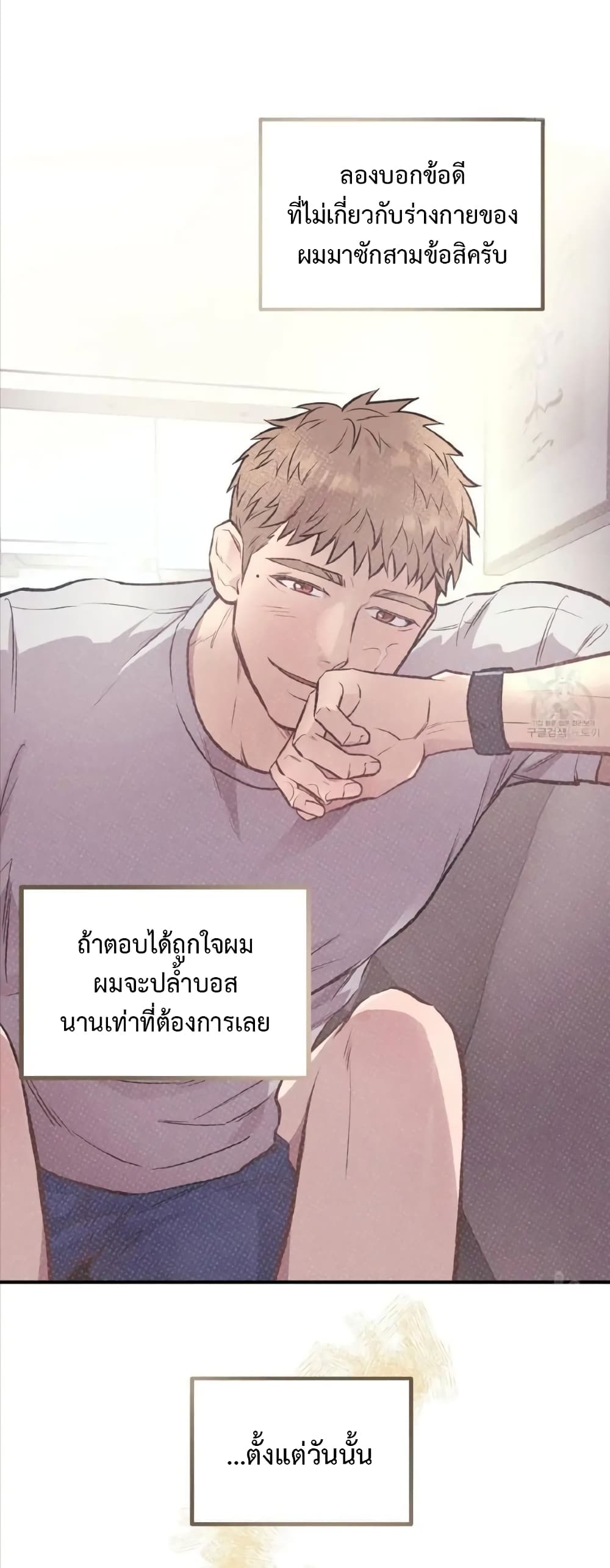 Honey Bear 16 03