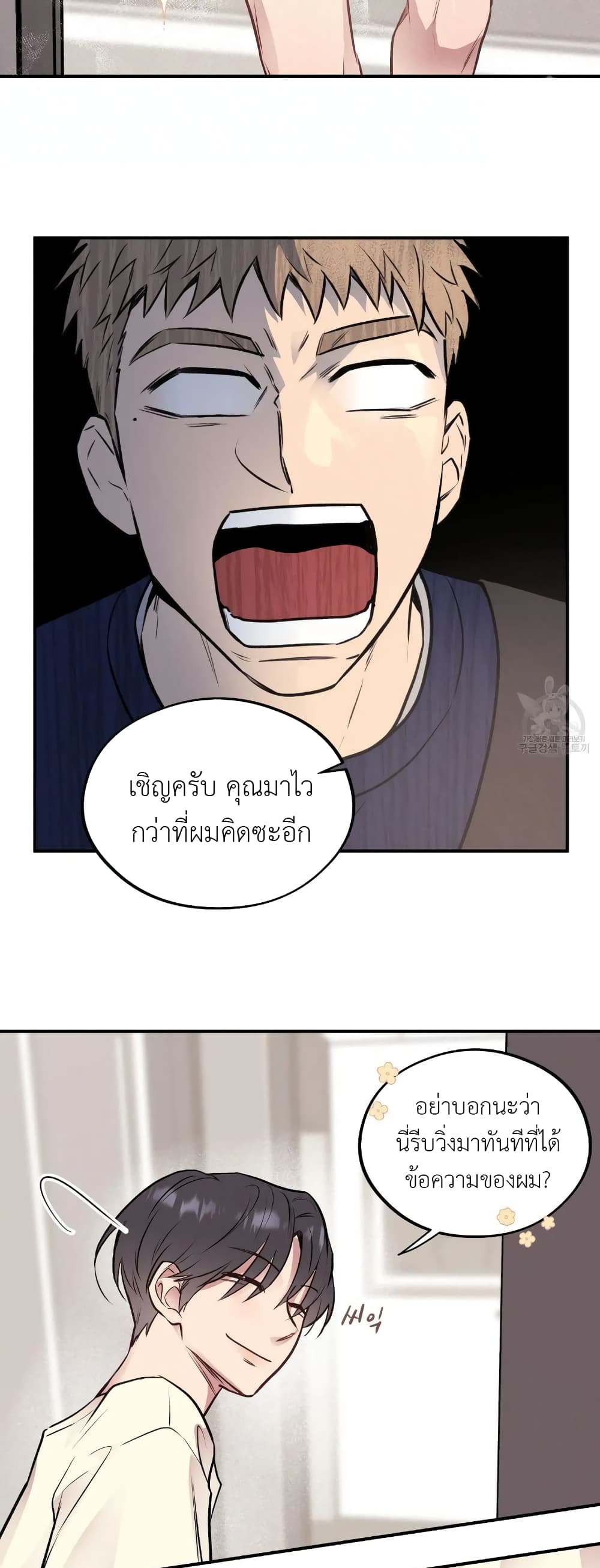 Honey Bear 14 07