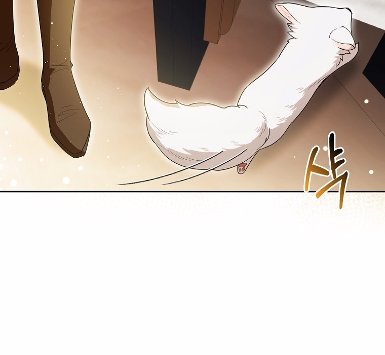 The Duke and The Fox Princess 7 053