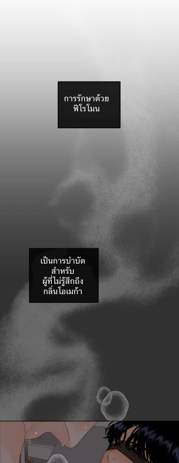 The Boundary of Fragrance 1 10