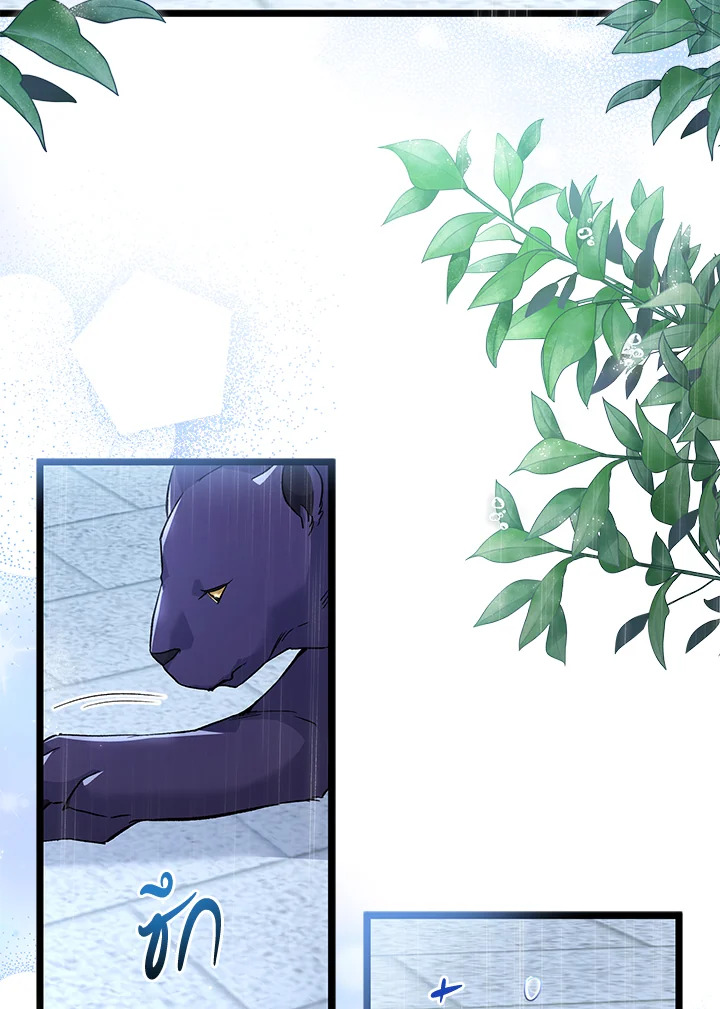 The Symbiotic Relationship Between a Panther and a Rabbit 121 39