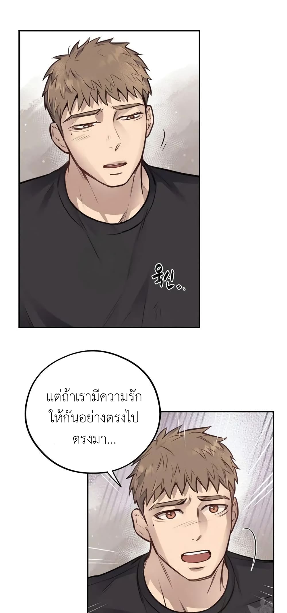 Honey Bear 40 17