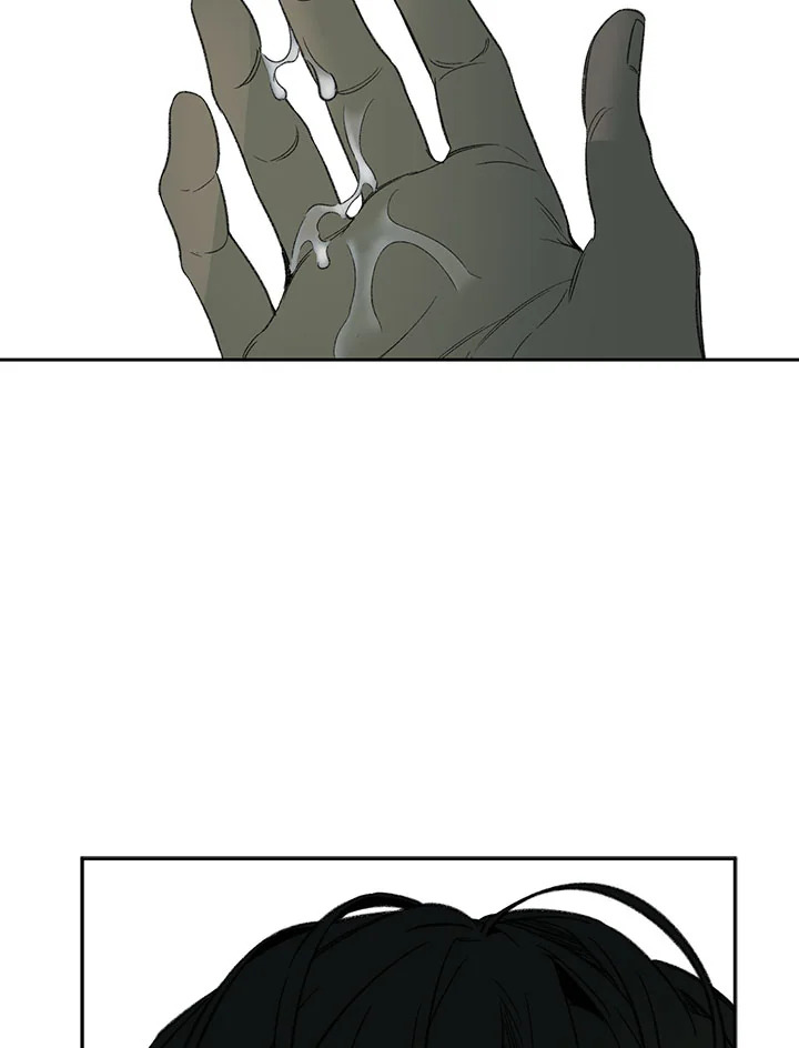 The Shape of Sympathy 53 78