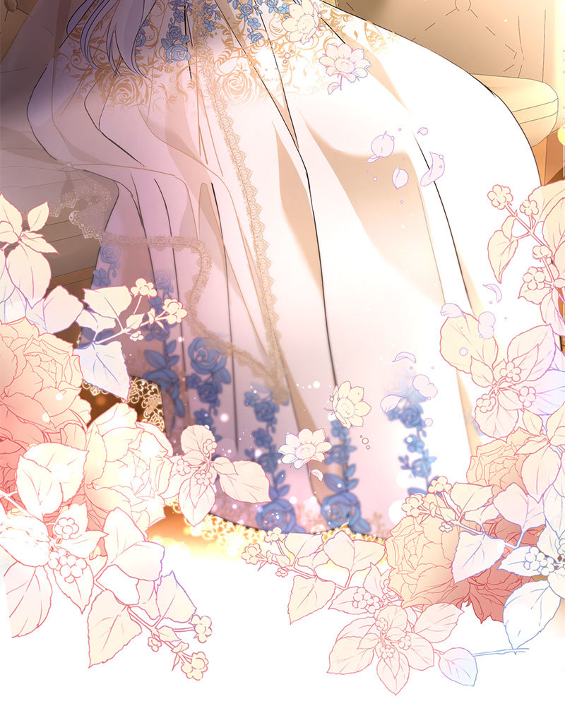 canidie 20 2 67 08084