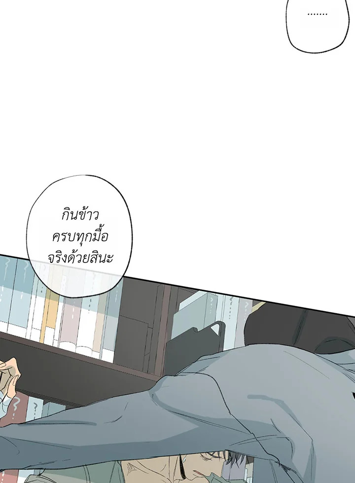 The Shape of Sympathy 32 21