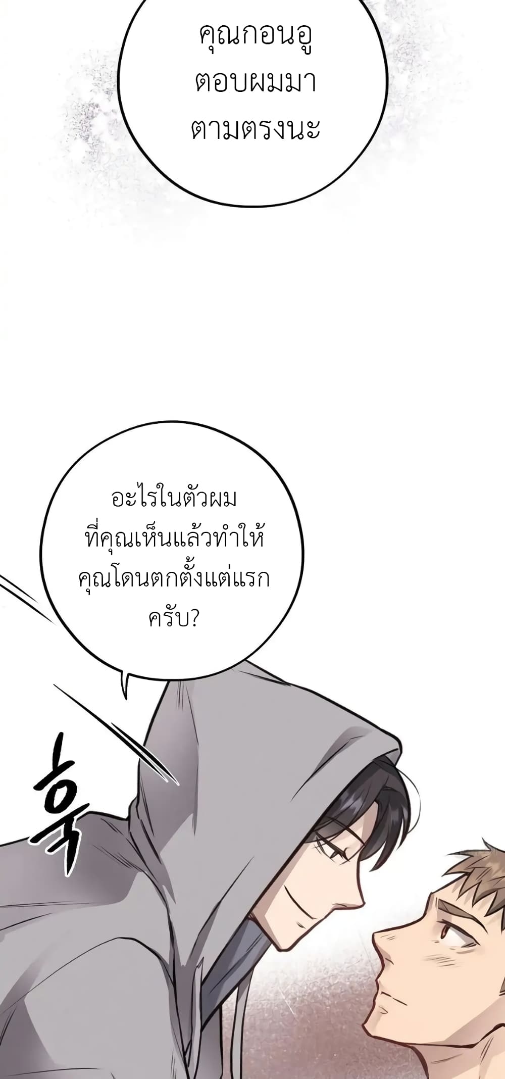 Honey Bear 40 15
