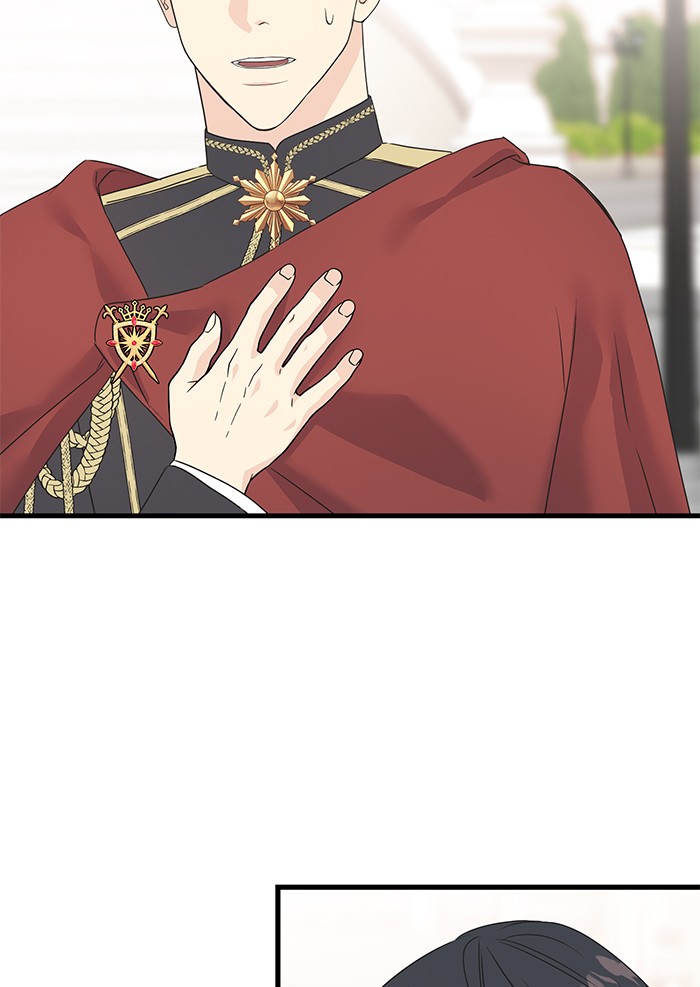 Crows Like Things That Sparkle 44 (40)