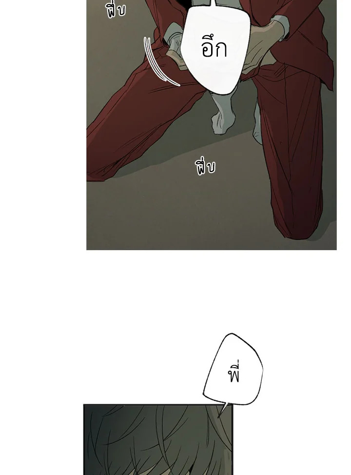 The Shape of Sympathy 23 36