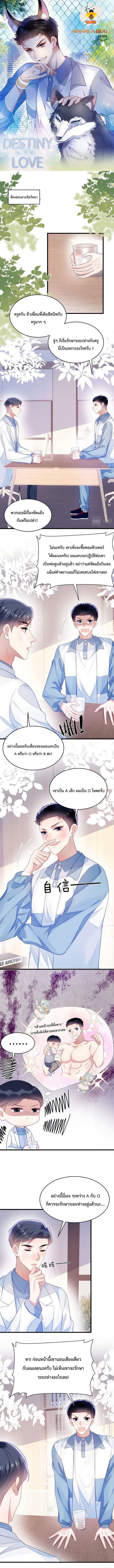 DESTINY LOVE 41 (1)