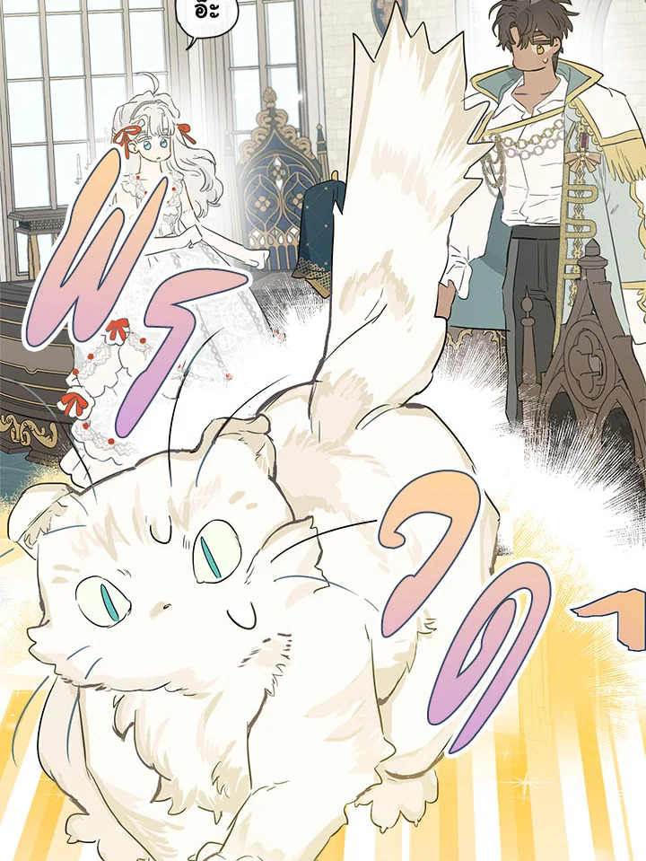 When the Count 39 41