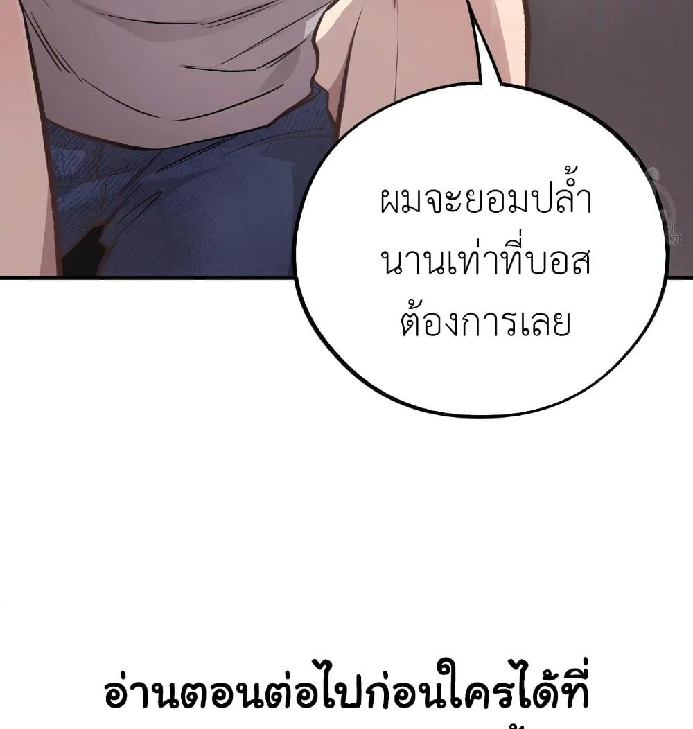 Honey Bear 15 100