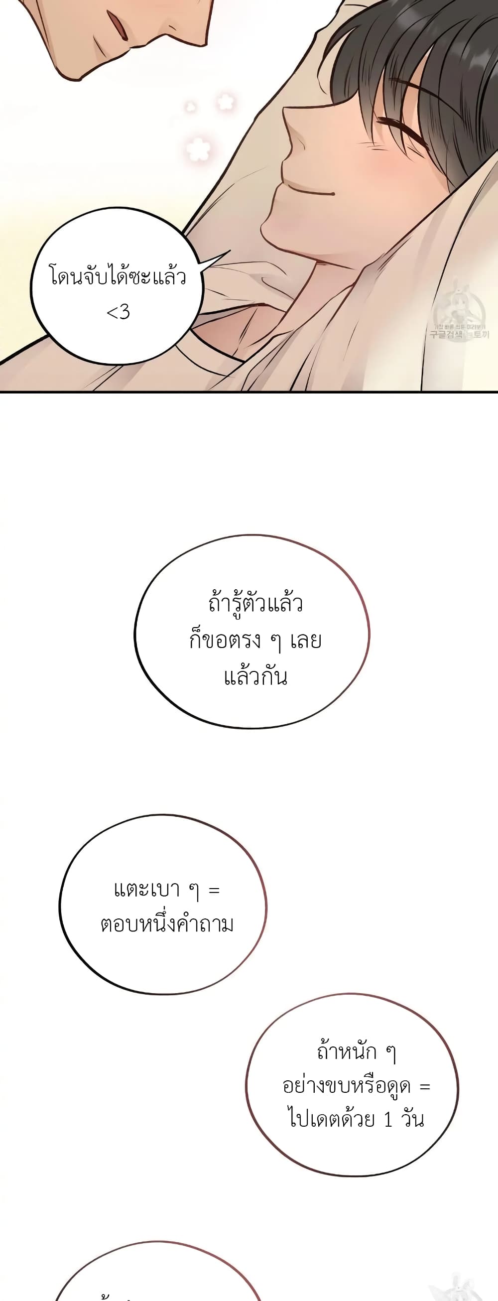 Honey Bear 14 35