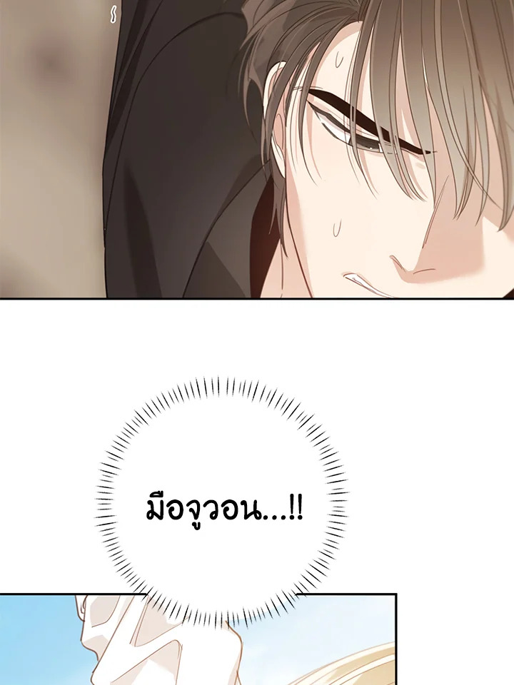 Shuffle 74 06