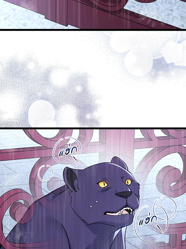 The Symbiotic Relationship Between a Panther and a Rabbit 121 82