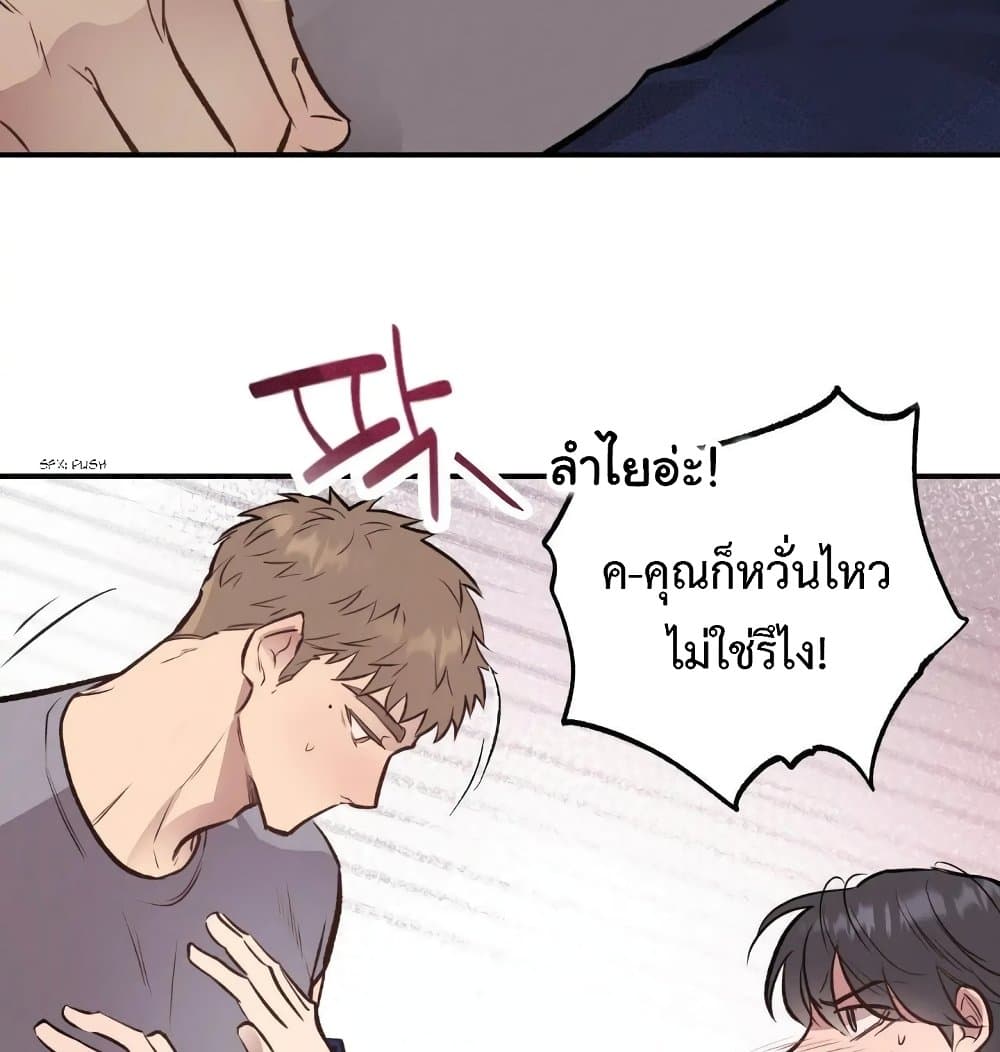 Honey Bear 15 066