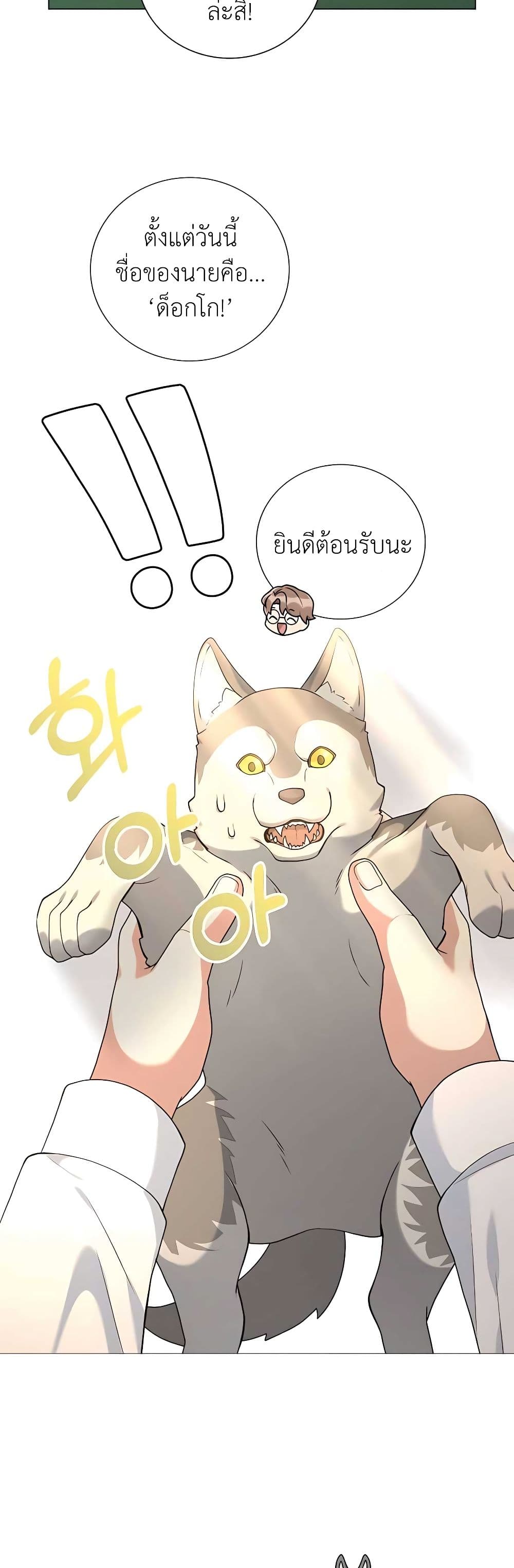 Hunter Worldâ€™s Gardener 23 (22)