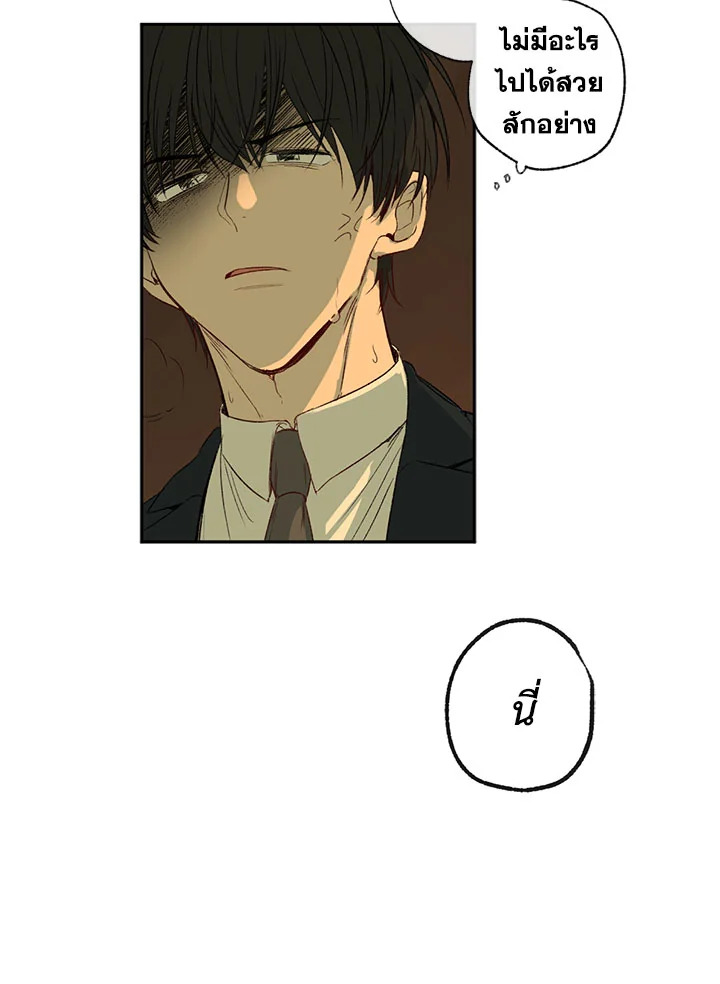 The Shape of Sympathy 2 19