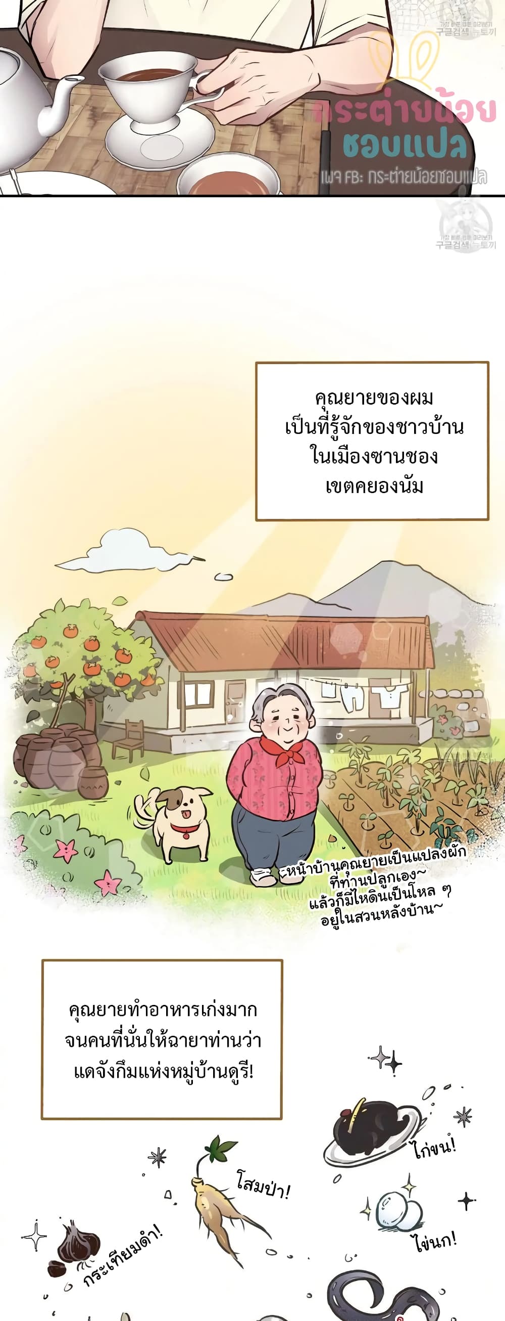 Honey Bear 14 20