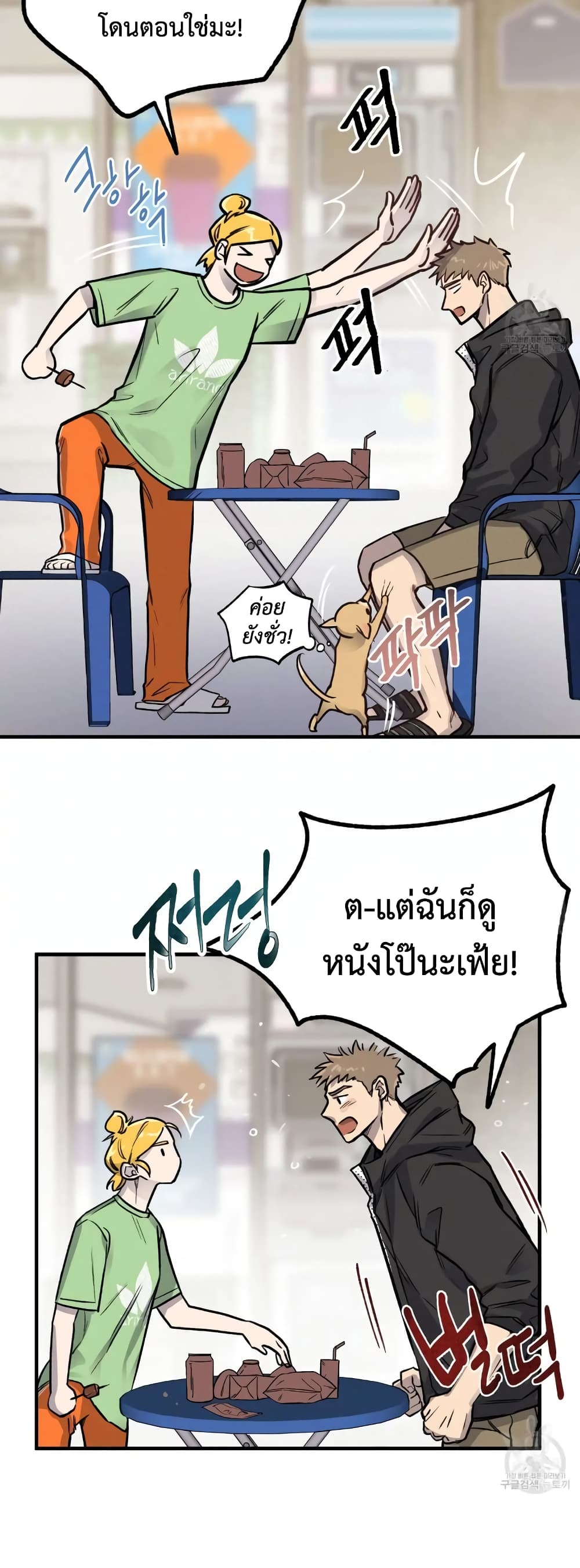 Honey Bear 4 12