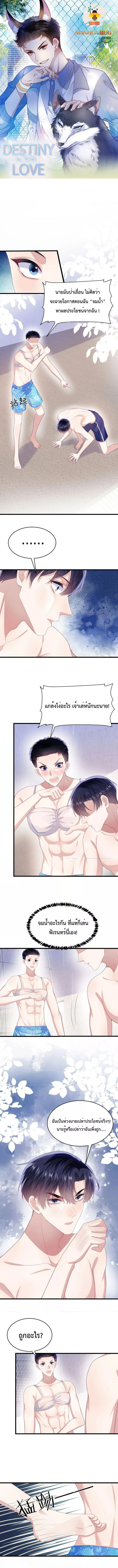 DESTINY LOVE 43 (1)