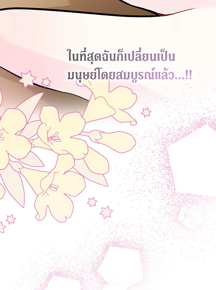 The Symbiotic Relationship Between a Panther and a Rabbit 123 111