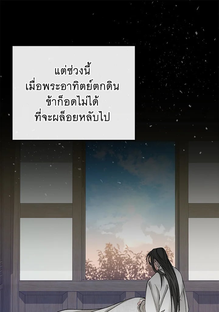 Fever 47 17
