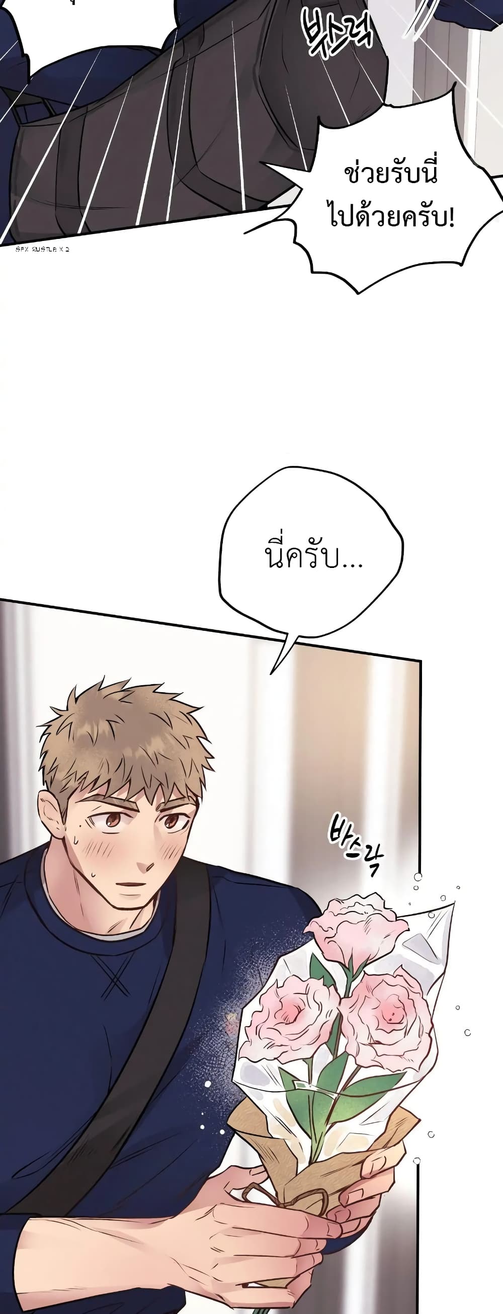 Honey Bear 14 10