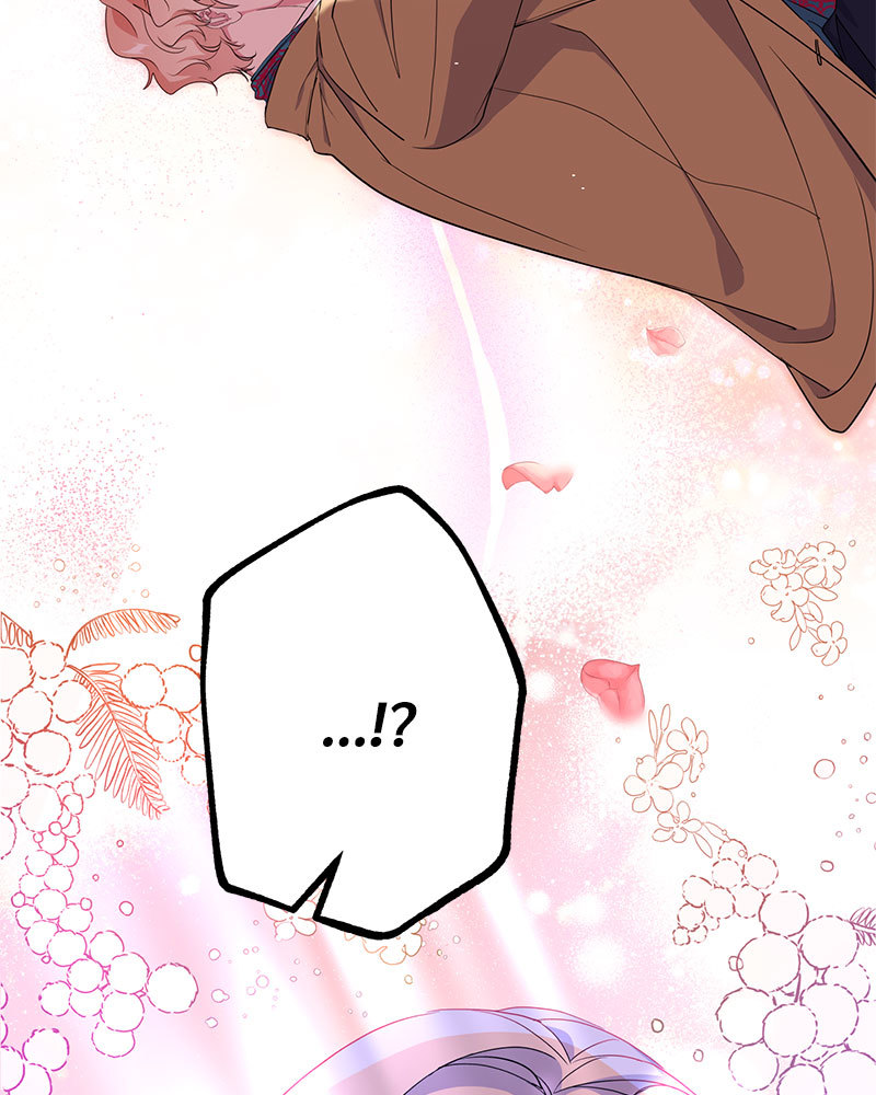 canidie 20 2 67 08125