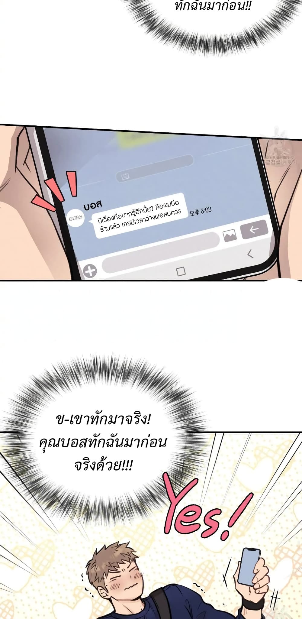 Honey Bear 13 36