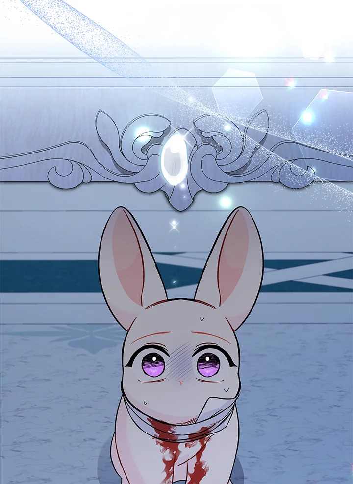 The Symbiotic Relationship Between a Panther and a Rabbit 120 050