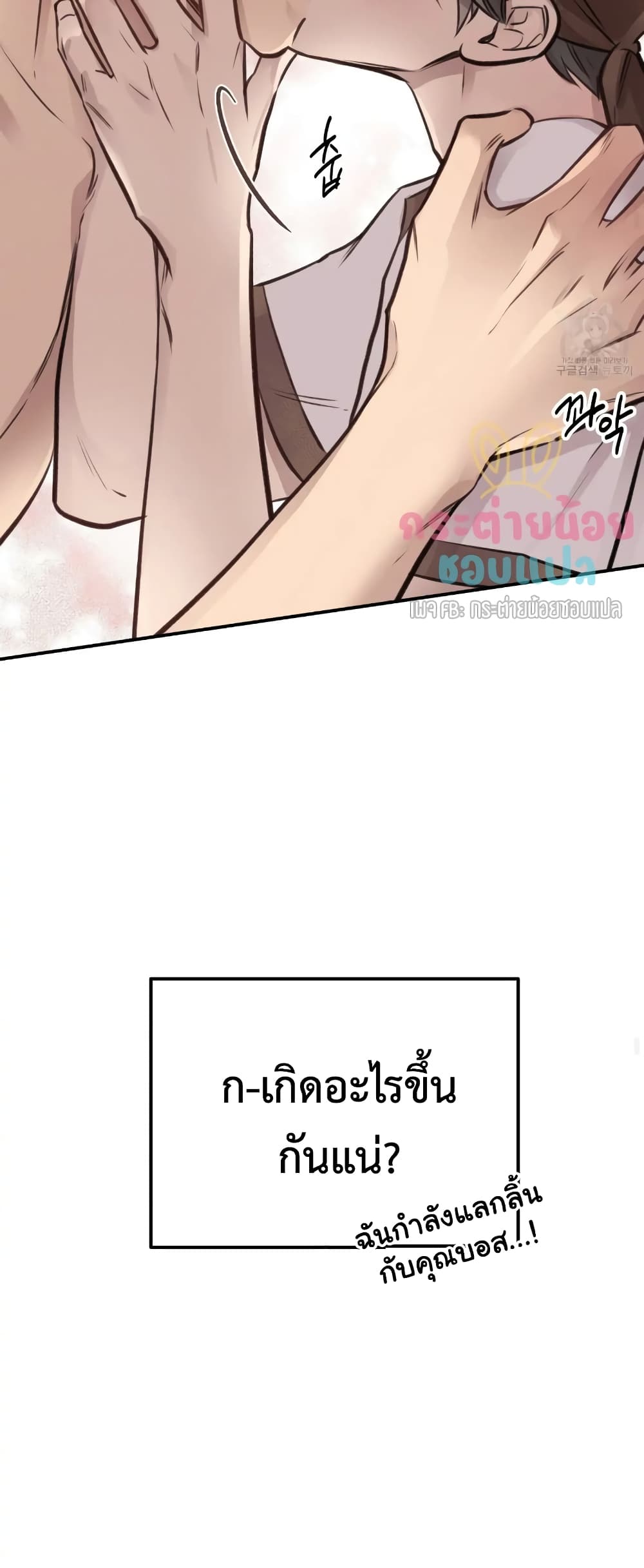 Honey Bear 8 29