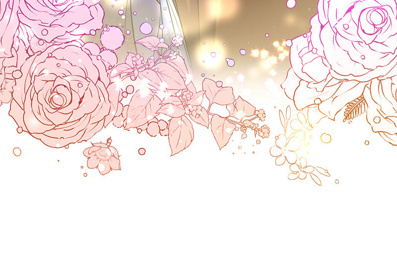 canidie 20 2 67 08127