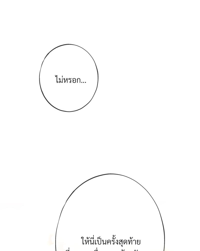 canidie 20 2 67 07980