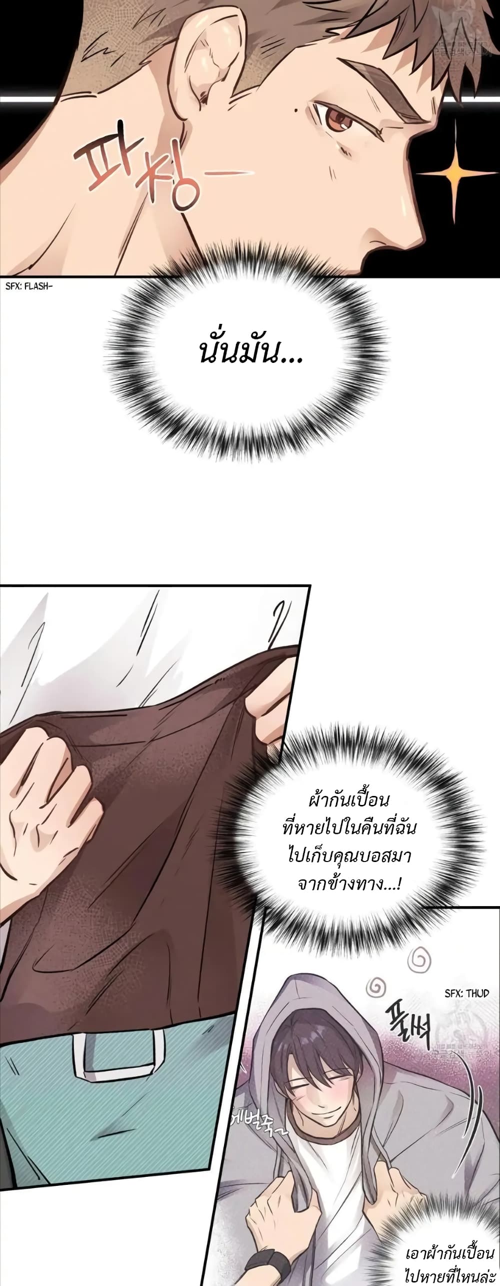 Honey Bear 16 11