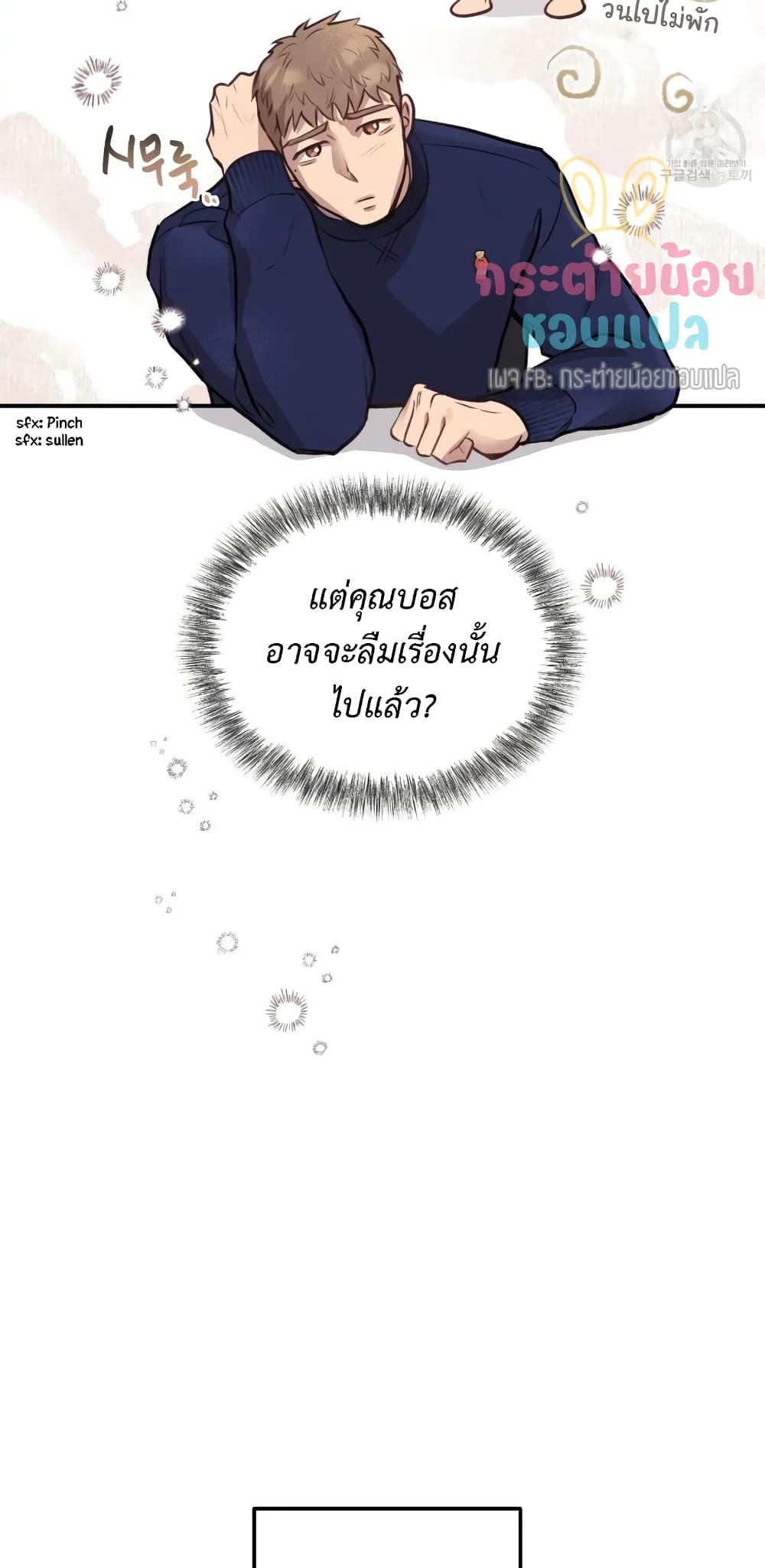 Honey Bear 13 11