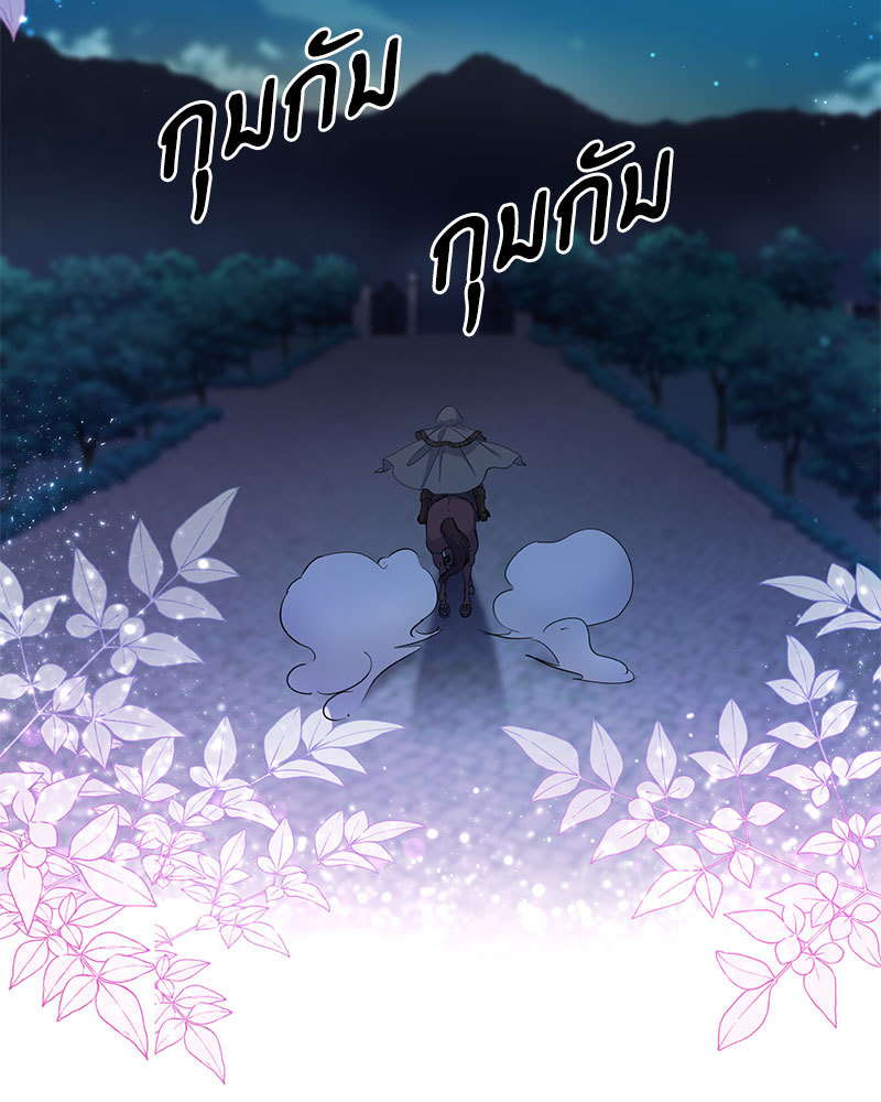 canidie 20 2 67 08044