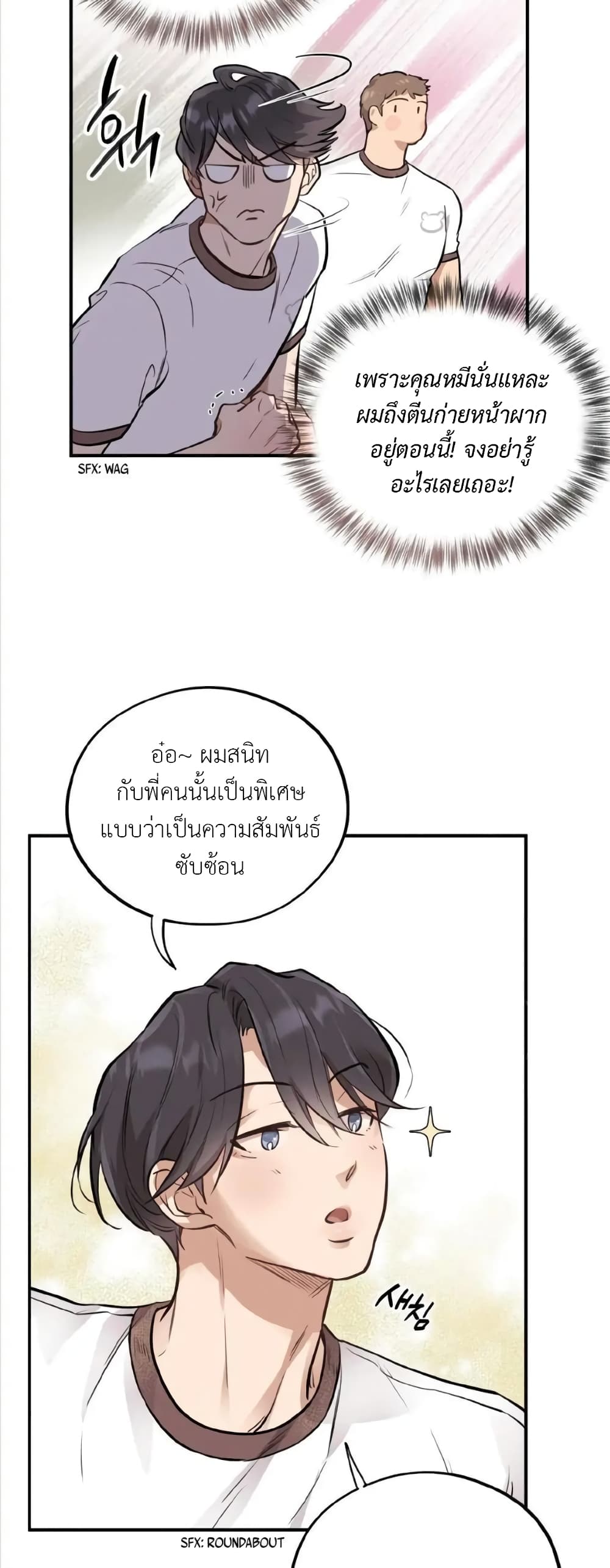 Honey Bear 16 16