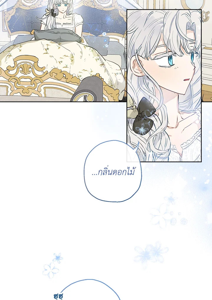 When the Count 38 05