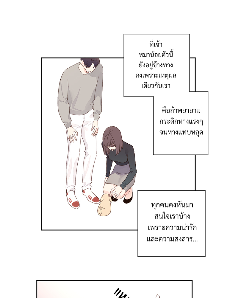 4 Week Lovers แฟนกัน 4 สัปดาห์ 84 36