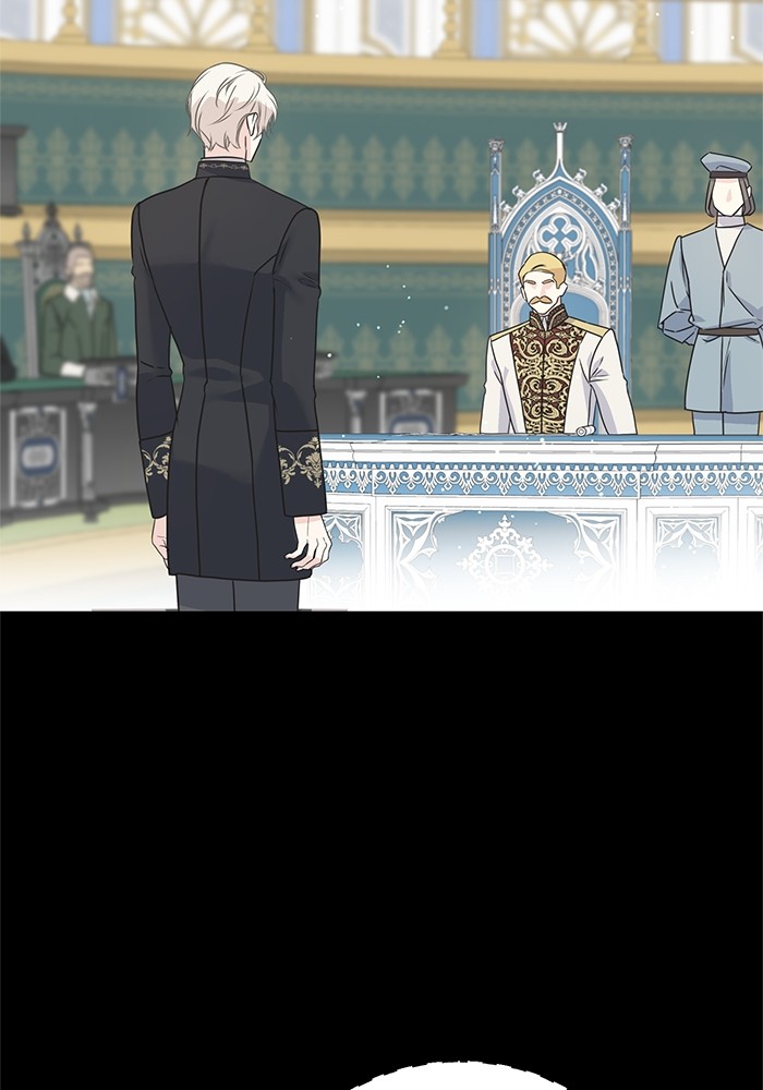 Crows Like Things That Sparkle 81 (11)